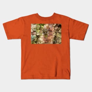 Unique and organic photo of a harvestman Kids T-Shirt